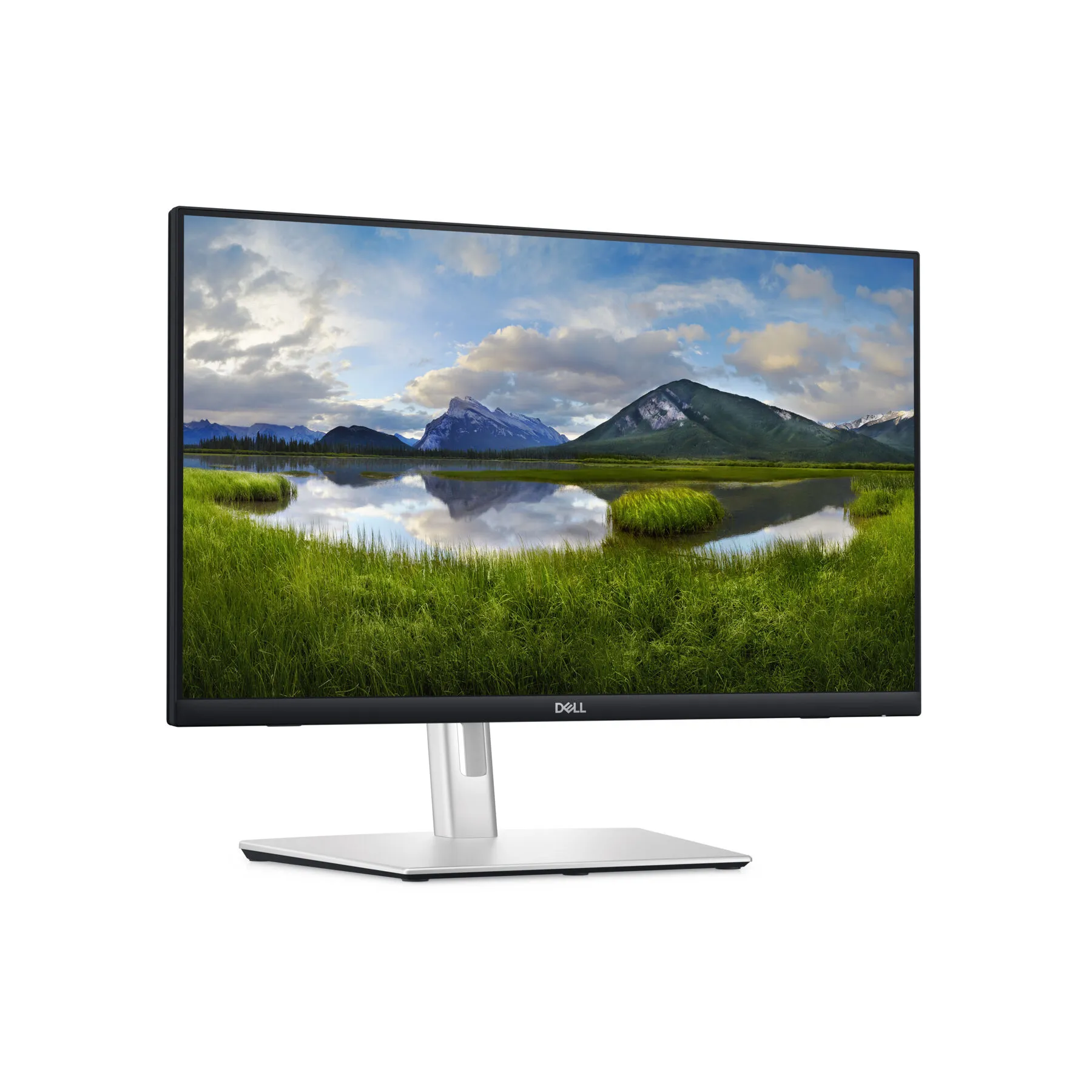 TFT Dell P2424HT 61m (23,8")HDMI, DisplayPort,USB-C,SP