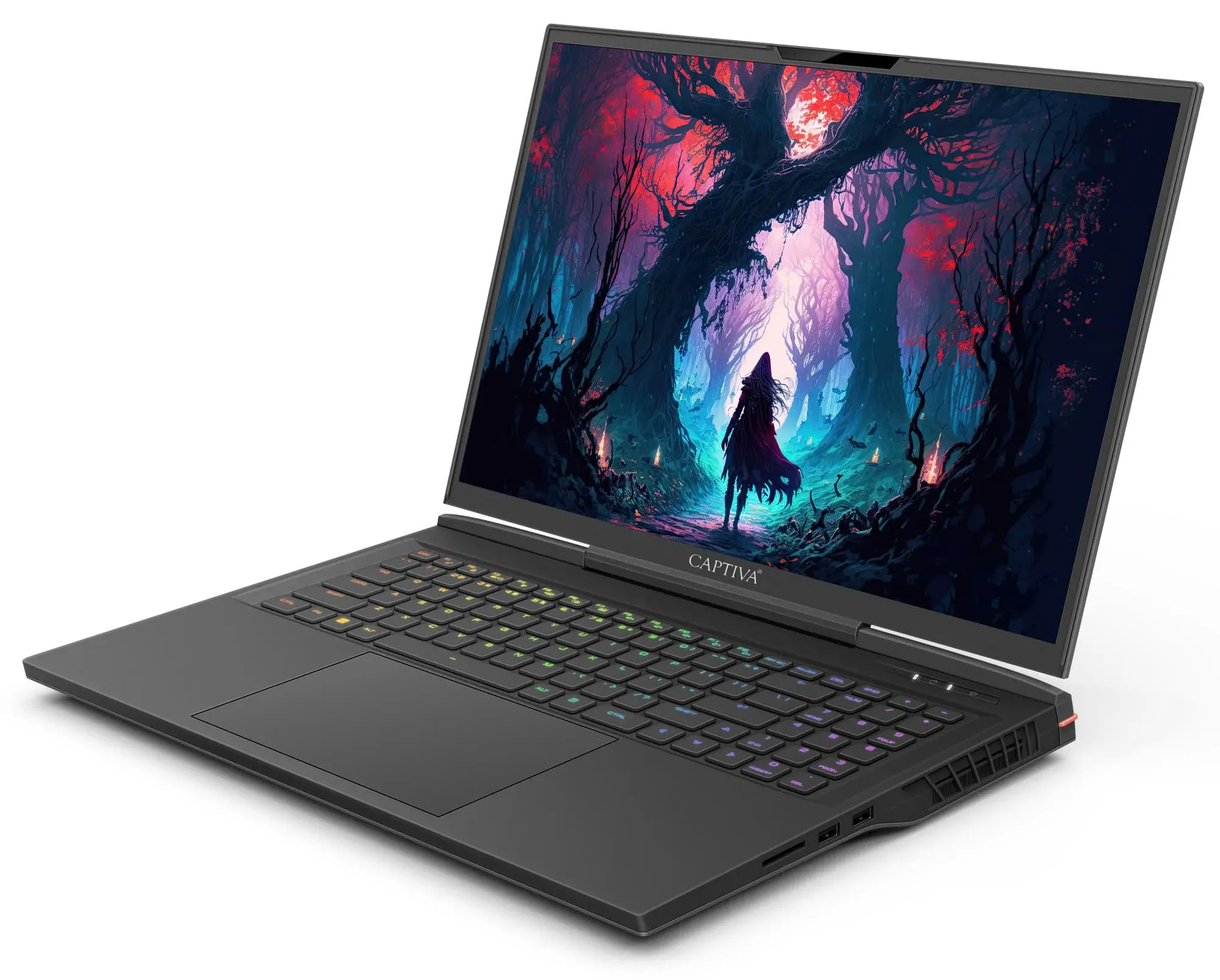 Captiva Notebook Highend Gaming I81-497 i9-14900HX (17.3", 64GB, 4TB SSD, GeForce RTX4070 8GB, Win 11 Home)